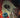 Event Horizon Inferno #1 Cvr A Ward