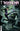 Teenage Mutant Ninja Turtles the Last Ronin - Training Day Variant C Crain
