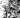 Teenage Mutant Ninja Turtles the Last Ronin - Training Day Variant Ri 50 Eastman Full Art B&w