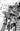 Teenage Mutant Ninja Turtles the Last Ronin - Training Day Variant Ri 50 Eastman Full Art B&w