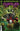Teenage Mutant Ninja Turtles the Hunger Cvr A Smith