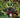 Teenage Mutant Ninja Turtles the Hunger Cvr A Smith