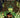 Godzilla Revenge of the Deadzone [kai-Sei Era] #2 Cvr A Tunica