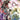 Mighty Morphin Power Rangers 2026 #6 Cvr A Main Dressed Di Gianfelice