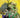 Power Rangers Unlimited #4 Cvr B Variant Dressed Hamner