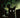 Stuff of Nightmares the Cat in the Coffin #1 Cvr C Homage Variant Dressed Gorham