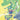 Power Rangers Green #2 Cvr F 1:20 Incv Variant Full Art Evenhuis