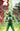 Power Rangers Green #2 Cvr H 1:50 Incv Variant Full Art Smith