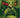 Swamp Thing Is Killing the Children #1 Cvr L 1:50 Incv Full Art Martínez Bueno