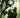 Swamp Thing Is Killing the Children #1 Cvr N 1:200 Incv Full Art Dell'otto