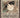 One Piece 24X36 - Monkey D. Luffy Wanted Dead or Alive Manga: Individually Rolled & Labeled - State of Comics