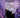This Is Ursula Disney Villains