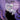 This Is Ursula Disney Villains