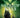 Malevolent Souls