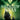 Malevolent Souls