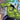 This Is Hulk Marvel