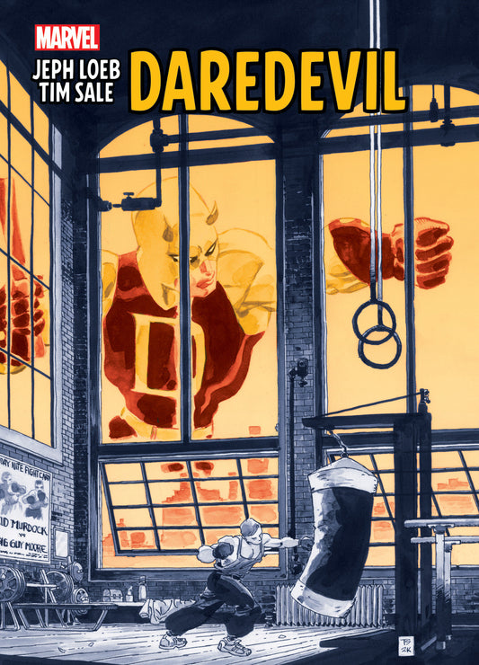 Jeph Loeb & Tim Sale Daredevil