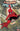Amazing Spider-Man: Torn