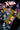 Uncanny X-Men by Gail Simone Vol 5 Who's Been Sleeping in My Bed?