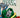 Doctor Doom Epic Collection: Enter...Doctor Doom