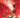 Cyclops Seeing Red