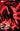 Miles Morales the Ultimate Spider-Man