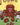 Domo: The Manga