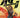 Kill All Immortals II