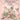 Cursed Princess Club Vol 6