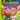The Kelce Brothers a Who Hq Illustrated Biography