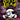 Stitch Head the Pirate's Eye