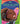 Serena Williams a Who Hq Illustrated Biography