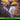 Neverwinter Dungeons & Dragons