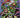 Teenage Mutant Ninja Turtles Saturday Morning Adventures Vol 9