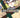 Go! Go! Loser Ranger! Vol 18