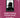 Dinghai Fusheng Records Novel Vol 6