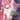 Virgin Knight I Became the Frontier Lord in a World Ruled by Women Light Novel Vol 4