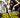 Grand Metal Organs Volume 1