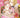 I Want to Escape from Princess Lessons Manga Vol 6
