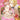 I Want to Escape from Princess Lessons Manga Vol 6
