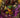 Dorc #4 Rudy AO Exclusive Matte Foil Virgin