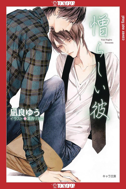 My Beautiful Man Light Novel Sc Vol 02 (Mr)