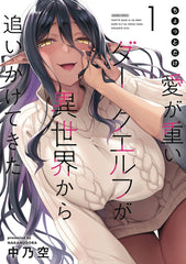 Chotto Dake Ai Ga Omoi Dark Elf Gn Vol 01 (Mr)