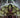 Incredible Hulk #15 Rod Reis Var