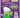 Ooey Gooey Slime Surprise