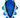 Mini Blue Dragon Sea Slug