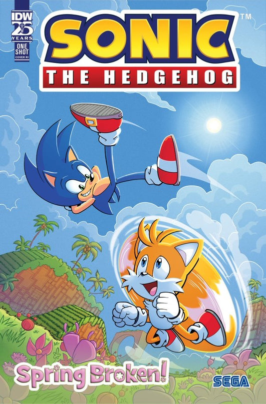 Sonic The Hedgehog Spring Broken #1 Cvr C 10 Copy Bulmer - State of Comics
