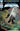 Detective Comics #1026 - State of Comics
