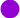 Z - Purple Dot Test Product (Instock) - State of Comics