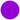 Z - Purple Dot Test Product (Instock) - State of Comics